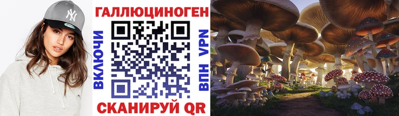 Псилоцибиновые грибы Cubensis Купить Лыткарино